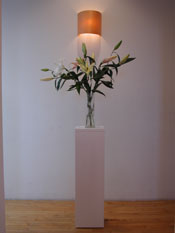 Sculpture display bases showing a flower arrangement.